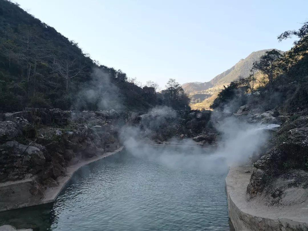破碎的动物图形2